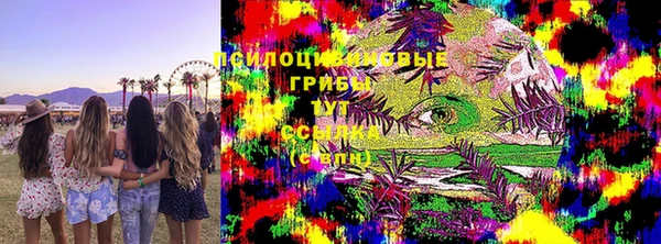 МДПВ Ладушкин