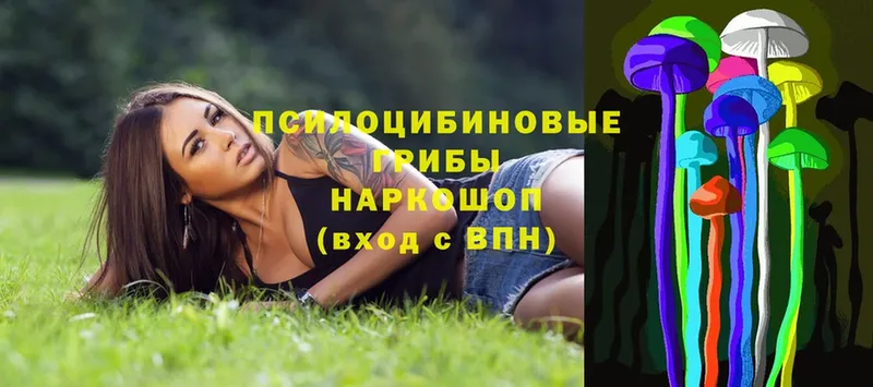 Псилоцибиновые грибы Psilocybe  Ковров 