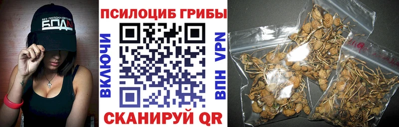 Галлюциногенные грибы Psilocybe OMG ссылка Ковров