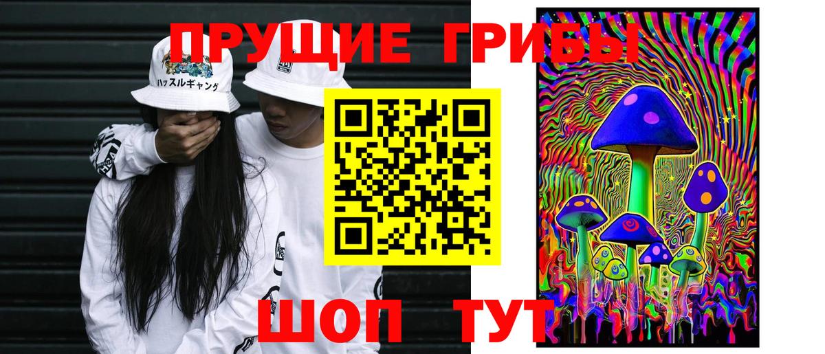 закладки  Вход с VPN  Ковров  Псилоцибиновые грибы Psilocybe 