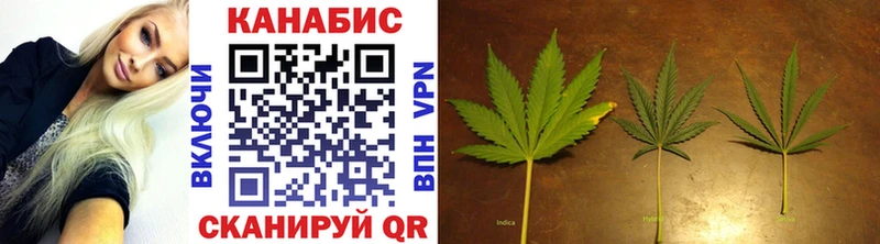 Конопля SATIVA & INDICA  Ковров 